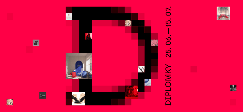 Diplomky 25